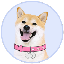 DOGEGF