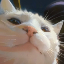 VCAT