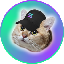 SOLCAT
