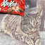 KITKAT