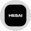 HSAIon