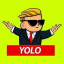 YOLO